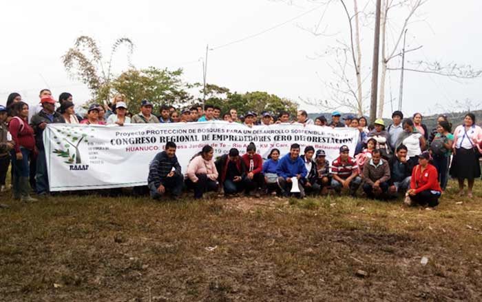 Se intensifica preparativos de la Campaña CERO DEFORESTACION, en regiones  de la Amazonía : Huánuco y Ucayali