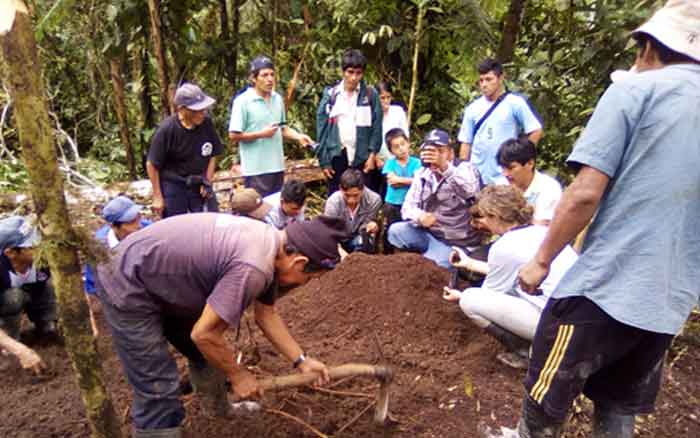 Se inicia el programa forestal en la región Huánuco, en el marco del proyecto “Protección del bosque para un desarrollo sostenible”
