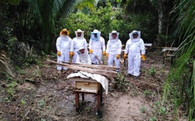 Instalación de módulos de apicultura en comunidades de Bajo Biabo de la Región San Martín-Perú